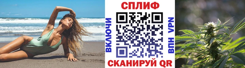 Канабис план  Купить закладки  Агрыз 